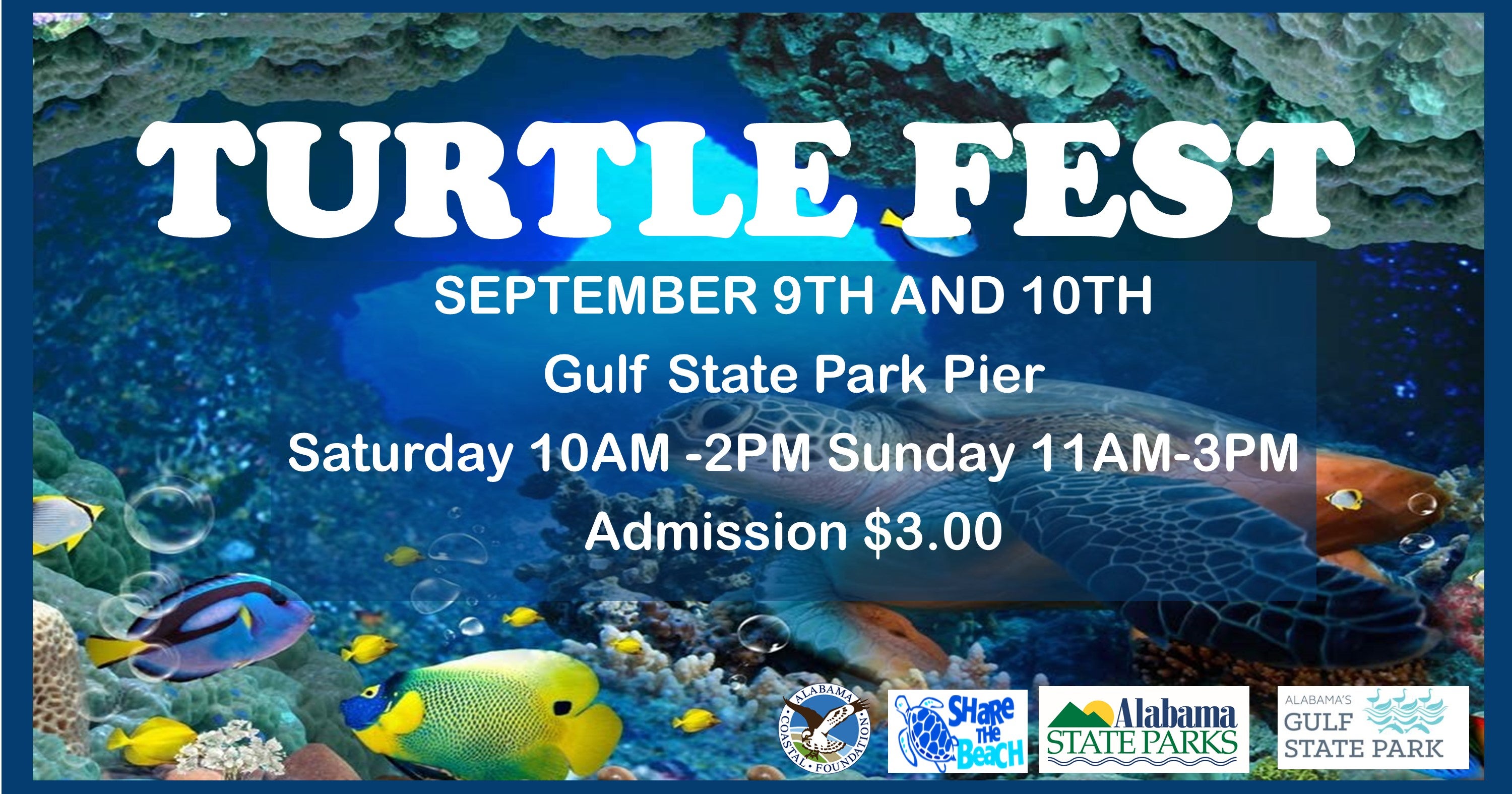 Turtle Fest! Alapark